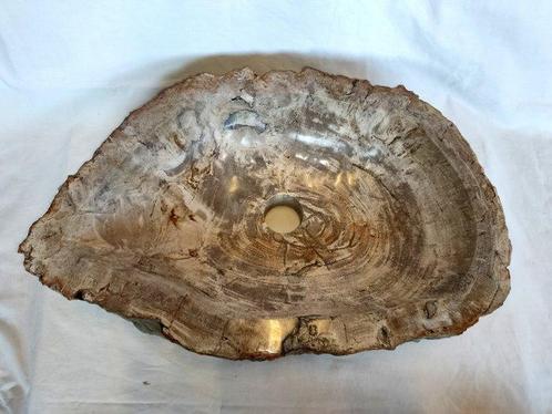 Waskom - versteend hout - wasbak, Verzamelen, Dierenverzamelingen
