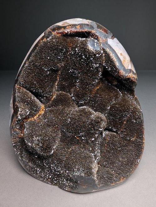 Fragment dœuf de dragon en septaria Forme libre - Hauteur :, Verzamelen, Mineralen en Fossielen