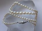 Sans Prix de Réserve - Collier - 14 carats Or blanc, Perles, Nieuw