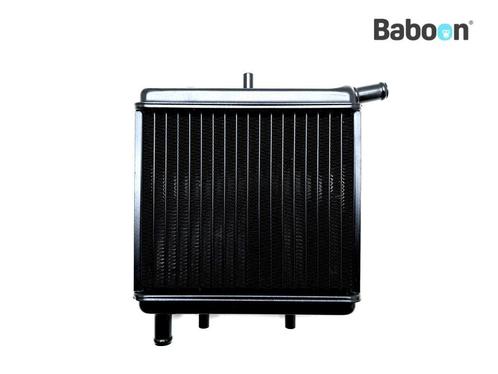 Radiateur Aprilia RS 50 (RS50) (AP8201476), Motoren, Onderdelen | Overige, Verzenden