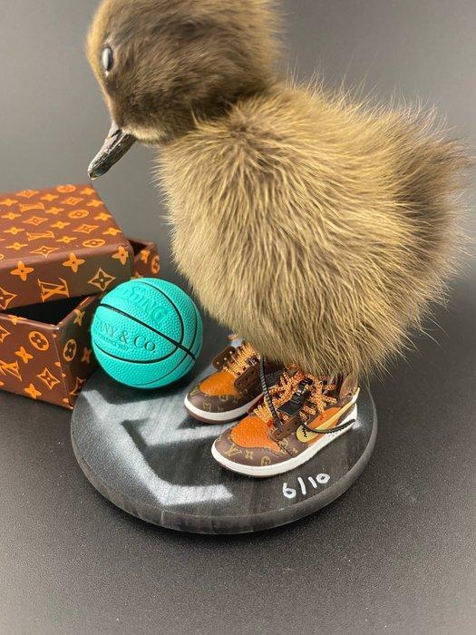 Eend Taxidermie volledige montage - Anas Platyrhynchos - 130, Antiek en Kunst, Curiosa en Brocante