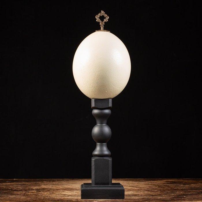 Struisvogelei op maat gemaakte standaard Ei - Struthio, Antiek en Kunst, Antiek | Overige Antiek