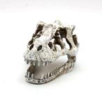 Prehistorische dino schedel OS-281 - aquarium decoratie, Ophalen of Verzenden, Nieuw, Sierelement