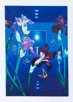 Antonio Nunziante (1956) - Danzano i fiori, Antiek en Kunst, Kunst | Schilderijen | Modern