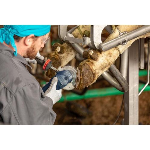 Disque de parage 6 cut polyester profi - kerbl, Zakelijke goederen, Landbouw | Veevoer