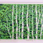 Witte berk, frisgroen C [Berk nieuw groen C] Uitgave: 46/300