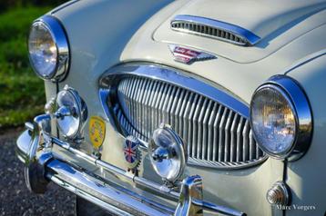 Austin Healey Pièces détachées oldtimer