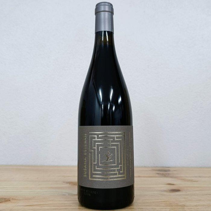 2019 Susana Esteban, Procura Old Vines - Alentejo DOC - 3, Verzamelen, Wijnen