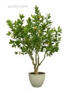 2x Artificial lemon tree, Tuin en Terras, Ophalen, Nieuw