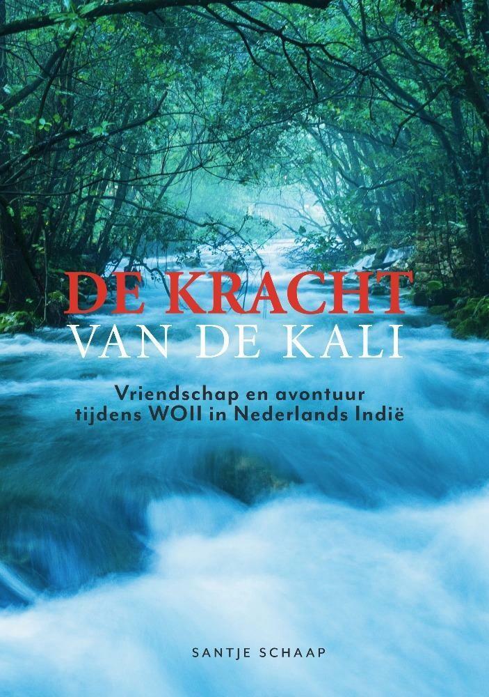 De kracht van de Kali 9789464310603 Santje Schaap, Livres, Livres pour enfants | Jeunesse | 13 ans et plus, Envoi