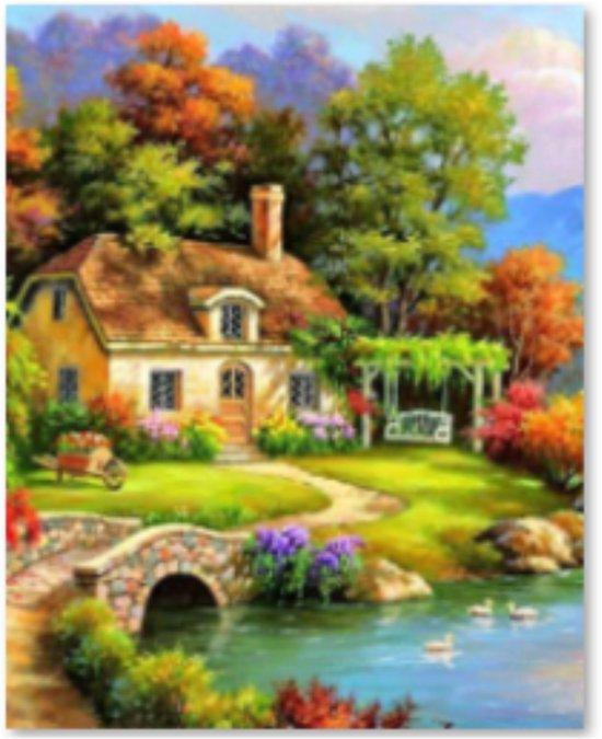 2dekans | Rubye® Diamond Painting Volwassenen - Diamond, Boeken, Hobby en Vrije tijd, Ophalen of Verzenden