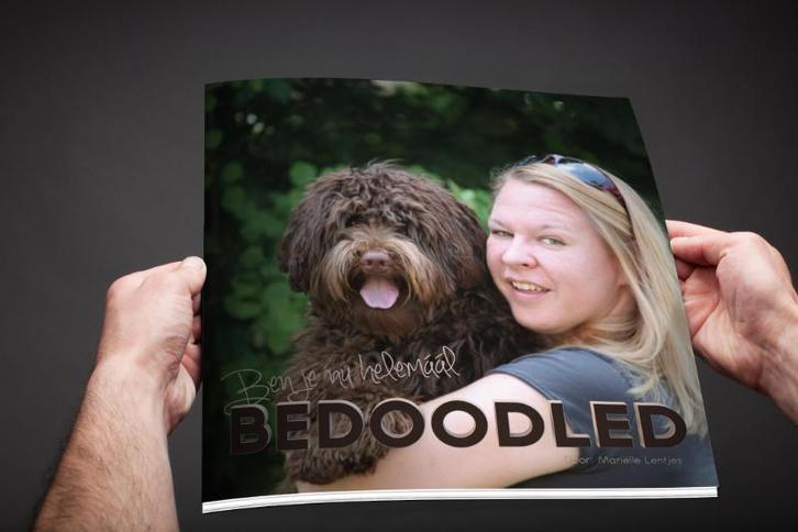 Ben je nu helemáál Bedoodled 9789082095609 Mariëlle Lentjes, Boeken, Hobby en Vrije tijd, Zo goed als nieuw, Verzenden