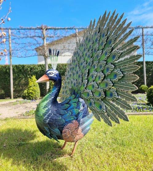Beeldje - Peacock - IJzer, Metaal, Antiek en Kunst, Kunst | Designobjecten