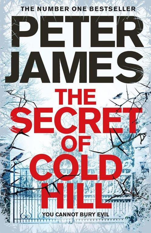 The Secret of Cold Hill 9781509816248 Peter James, Boeken, Overige Boeken, Gelezen, Verzenden