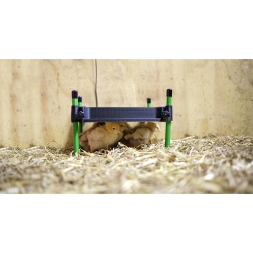 Warmteplaat mini 30x30cm 24v, geintegreerde thermostaat -, Dieren en Toebehoren, Pluimvee | Toebehoren, Nieuw
