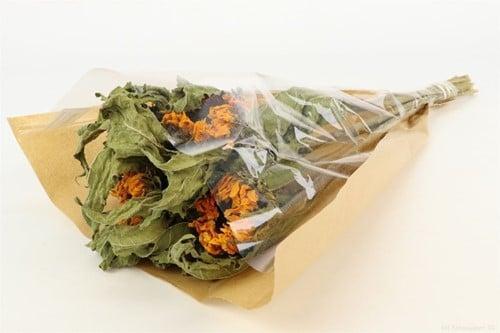 Zonnebloem Helianthus droogbloemen in hoes bundel ca. 60 cm, Huis en Inrichting, Woonaccessoires | Kunstplanten en Kunstbloemen