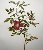 Ellen Ann Willmott; Alfred Parsons (b. 1847) - 4 large folio, Antiquités & Art