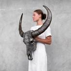 Crâne de buffle deau gris authentique, sculpté à la main -