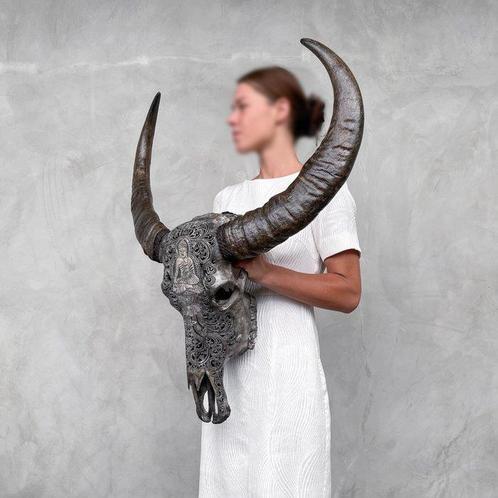 Crâne de buffle deau gris authentique, sculpté à la main -, Antiek en Kunst, Kunst | Designobjecten