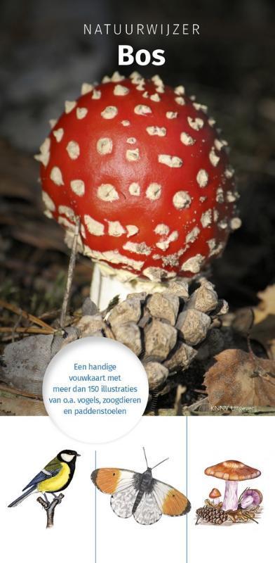 Natuurwijzer Bos 9789050116152 Jasper de Ruiter, Boeken, Hobby en Vrije tijd, Gelezen, Verzenden