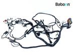 Kabelboom Piaggio | Vespa Beverly 300 2010-2015 (M69200), Motoren, Verzenden, Gebruikt