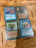 Wizards of The Coast - 40 Card - Magic: The Gathering