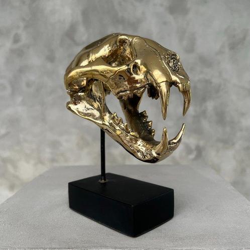 PAS DE PRIX DE RÉSERVE - Crâne de léopard des neiges moulé, Antiquités & Art, Art | Objets design