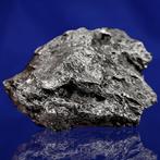 XL IJZER METEORIET uit Campo del Cielo (Argentinië, 4500