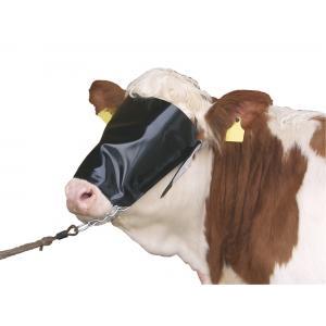 Collier à vaches avec sangle et chaîne, Articles professionnels, Agriculture | Aliments pour bétail
