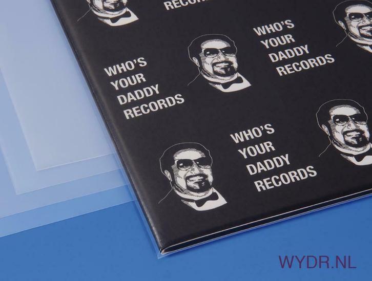 100 Plastic Platenhoezen - Record Sleeves - LP Vinyl, CD & DVD, Vinyles | R&B & Soul, Envoi