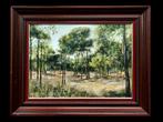 École méditerranéenne (XX) - Forêt de pins sous le soleil, Antiek en Kunst