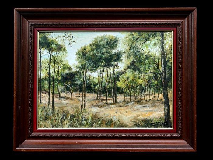École méditerranéenne (XX) - Forêt de pins sous le soleil, Antiek en Kunst, Kunst | Schilderijen | Klassiek