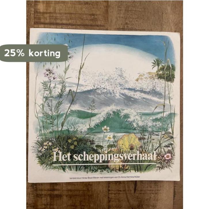 Het scheppingsverhaal 9789026603358 Hinke Baukje Wever, Livres, Livres Autre, Envoi