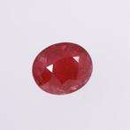 1 pcs Rood, Roze Robijn - 5.09 ct - Asian Institute of, Nieuw
