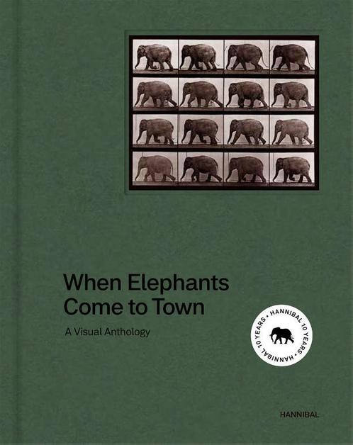 When Elephants Come to Town 9789463887519 James Attlee, Boeken, Taal | Engels, Zo goed als nieuw, Verzenden