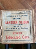 J. T. & Co. set of 12 plaatjes: Educated cats | Diapositives, Nieuw