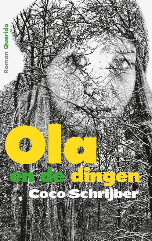 Ola en de dingen 9789021419480 Coco Schrijber, Livres, Romans, Envoi