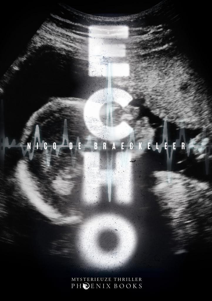 Echo 9789464789485 Nico De Braeckeleer, Boeken, Thrillers, Zo goed als nieuw, Verzenden