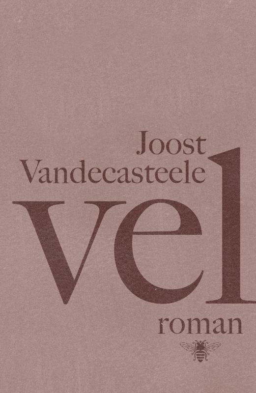 Vel 9789085424499 Joost Vandecasteele, Boeken, Romans, Gelezen, Verzenden