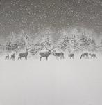 ARAZZO exclusief in jacquard van katoen en alpaca -, Antiek en Kunst