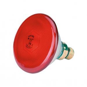 Warmtelamp spaarlamp philips 175w rood - kerbl, Zakelijke goederen, Landbouw | Veevoer