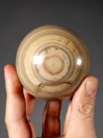 Paar bollen (Septaria en zebrajaspis) Bol- 1537 g - (2)