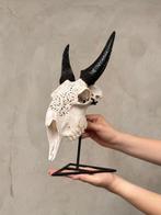 Geen minimumprijs - Handgesneden Witte Geitenkop met