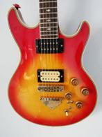 Ibanez - CN250 -  - Guitare électrique - Japon - 1979, Muziek en Instrumenten, Snaarinstrumenten | Gitaren | Akoestisch, Nieuw