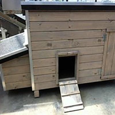 Kippenhok WOOD 3 grijs, Dieren en Toebehoren, Pluimvee | Toebehoren, Nieuw