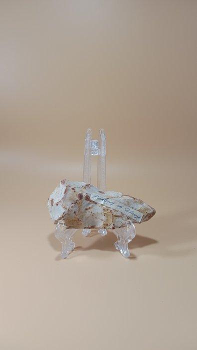 Néolithique Outil bifacial en silex / couteau (Sans prix de, Collections, Minéraux & Fossiles