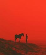 Erminando Aliaj - Man with an horse