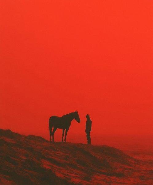 Erminando Aliaj - Man with an horse, Antiek en Kunst, Kunst | Schilderijen | Modern