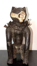 Chien Kongo Nkisi Nkonde - DR Congo (Zonder minimumprijs)