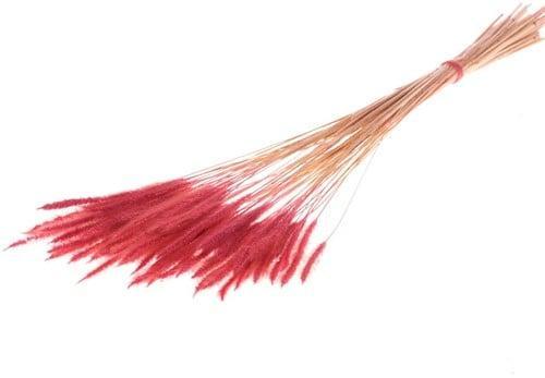 Soft Worms Grass alternatief voor Lagurus Rood, Huis en Inrichting, Woonaccessoires | Kunstplanten en Kunstbloemen, Nieuw